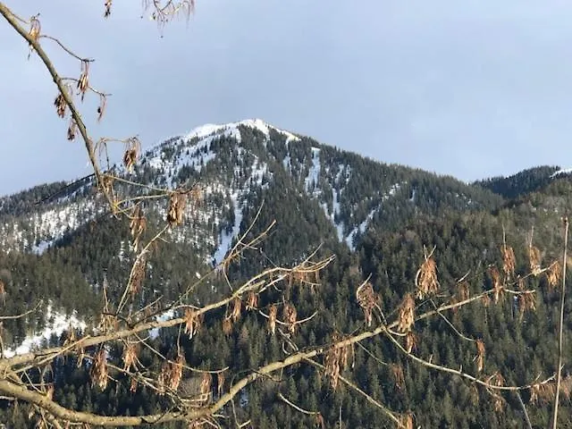 Landhaus Wiesner ab September bis Mai OHNE FRÜHSTÜCK Rotta 0*,  Deutschland